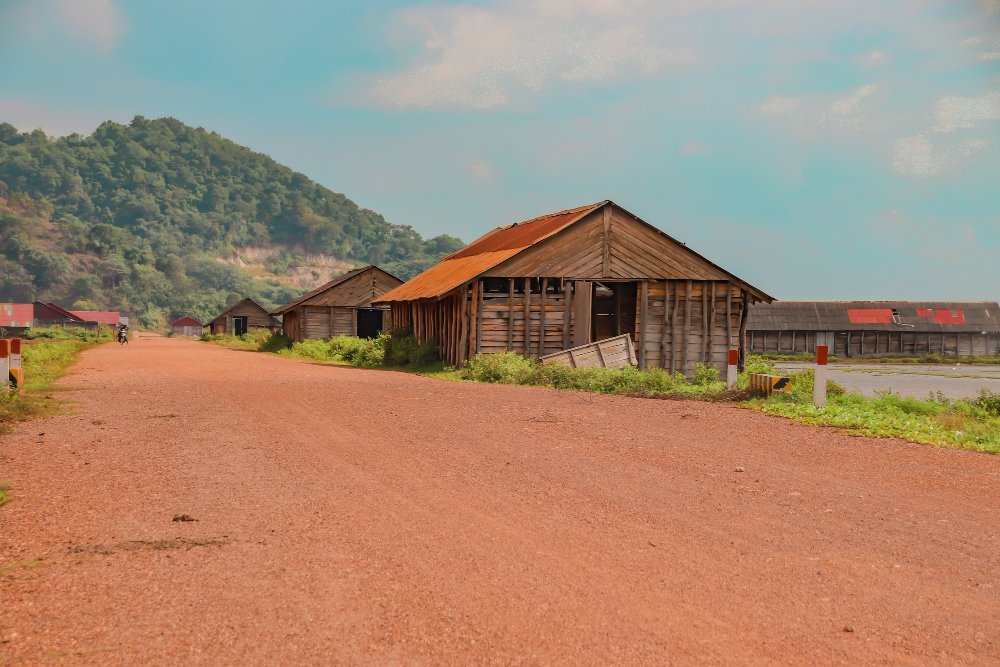In this guide, you will discover the 7 most profitable niche businesses for rural areas in Nigeria in 2026, based on market demand, profit potential and long-term growth.