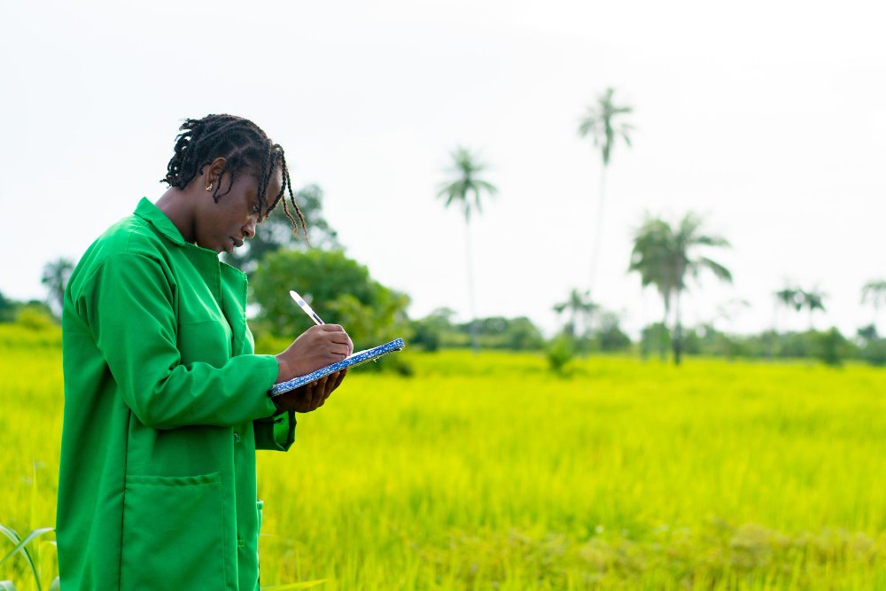Agriculture is one of the biggest business opportunities in Nigeria. With millions of people needing food every day, businesses involved in farming, livestock, aquaculture, processing, storage and agricultural exports can generate strong returns.